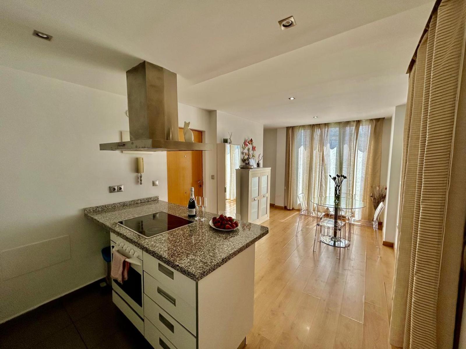 2 Big Terraces Penthouse City Center Alicante Buitenkant foto